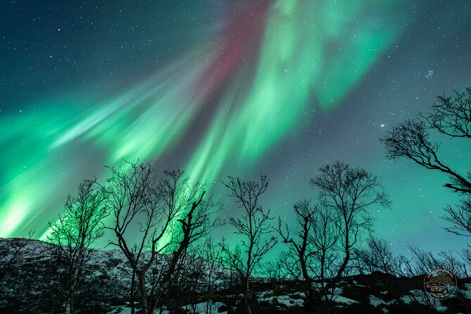 Northern Lights visible over an Icelandic landscape